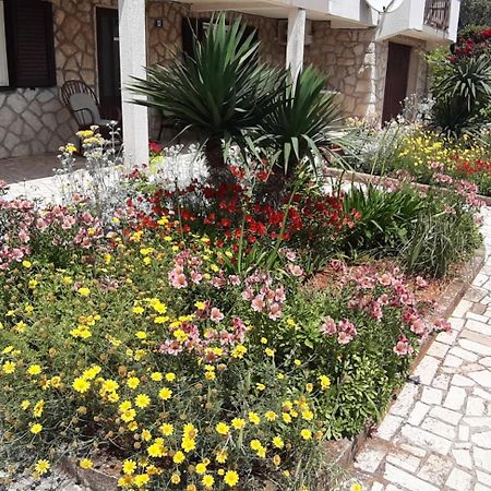 קרס Apartmani Ana מראה חיצוני תמונה