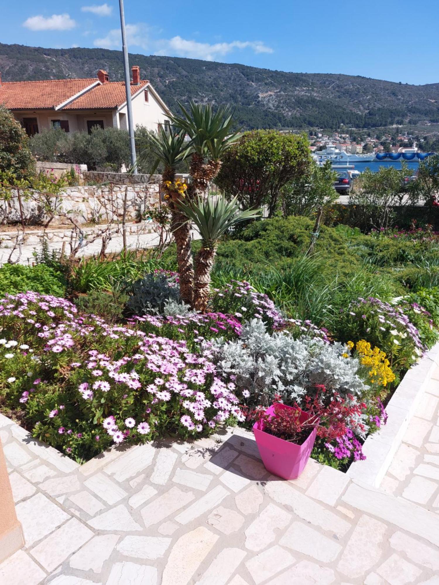 קרס Apartmani Ana מראה חיצוני תמונה